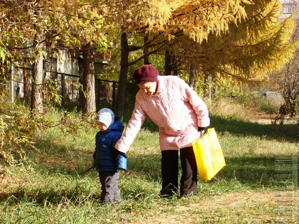 Охота на воробьёв